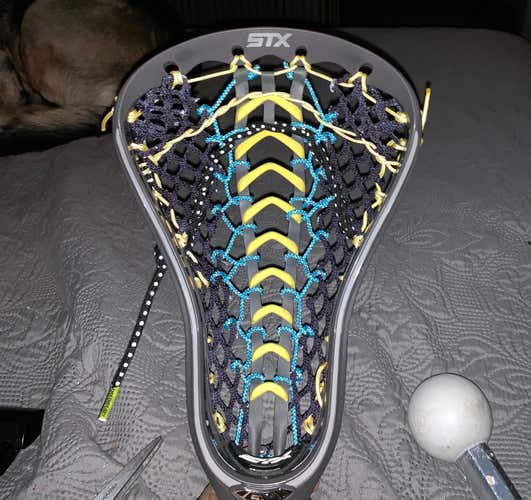 Stx Fortress 500