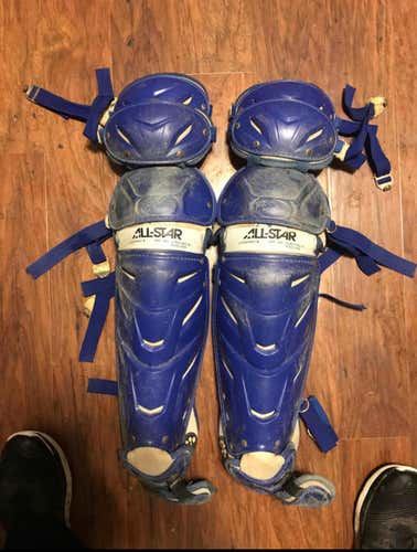 All Star System 7 Catchers Chest Protected And Matching Leg Guards