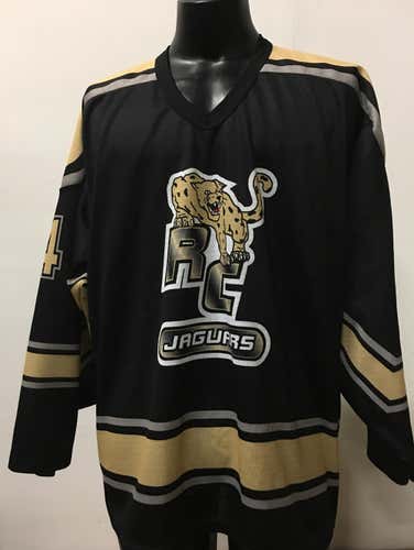 Rock Canyon Jaguars HS (CO) Game Worn #24 Hockey Sweater, Jersey Large