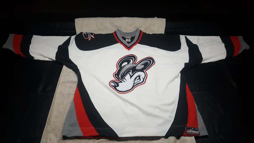 Team Mickey Disney World In the Game Authentic Jersey