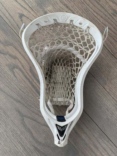 Warrior Evo 5 Head