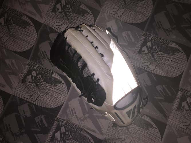 Nike Vapor 360 Baseball Glove