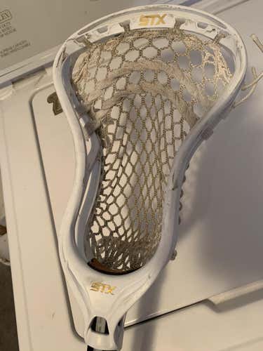 STX Stallion 700 Head