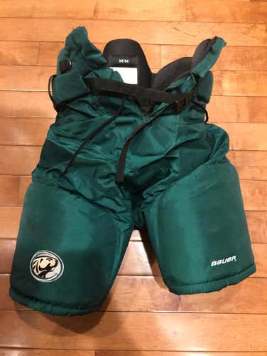 Bemidji State Breezers