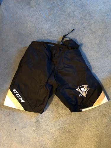 2013 Pittsburgh Penguins Stadium Series Shell
