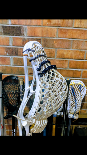 Evo Pro X6