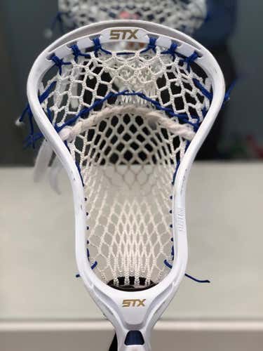 Stx Stallion On Warrior Kryptyte