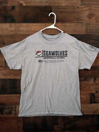 MiLB Eastern League ERIE SEAWOLVES DETROIT TIGERS Grey Baseball Clinic Shirt