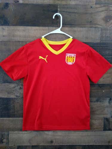 Puma Brand FIFA Soccer SPAIN NATIONAL TEAM Youth Polyester Jersey