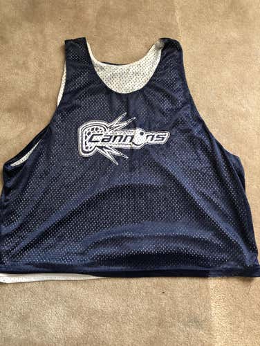 Vintage Boston Cannons Pennie