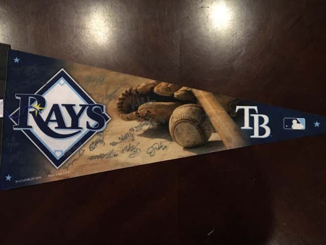 2014 Tampa Bay Rays Fan Fest Team Signed Pennant MLB Baseball