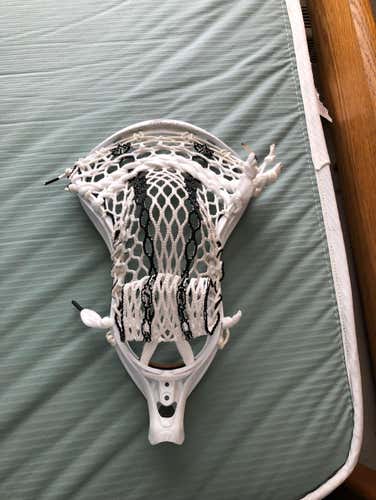 STX Stallion 700