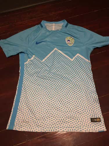 Slovenia Jersey