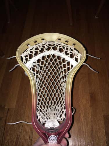 Maverik Kinetic Custom Dyed Head