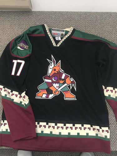 Old coyotes kachina