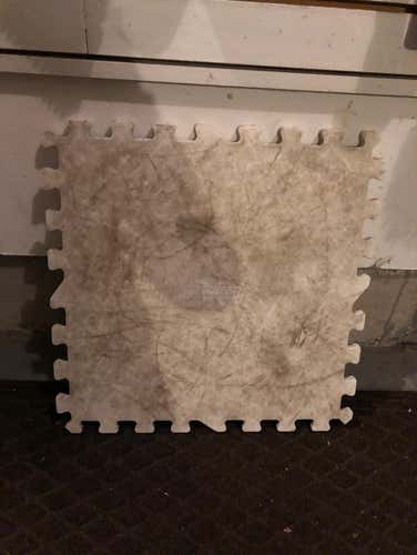 20 Hockeyshot Skateable Tiles