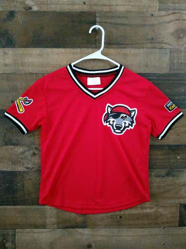 New MiLB Baseball Eastern League ERIE SEAWOLVES DETROIT TIGERS Youth Team Jersey