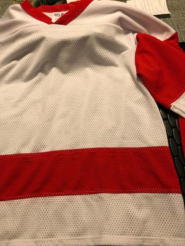 Blank Red Wings-style Jersey. Size L Athletic Knit barely Used