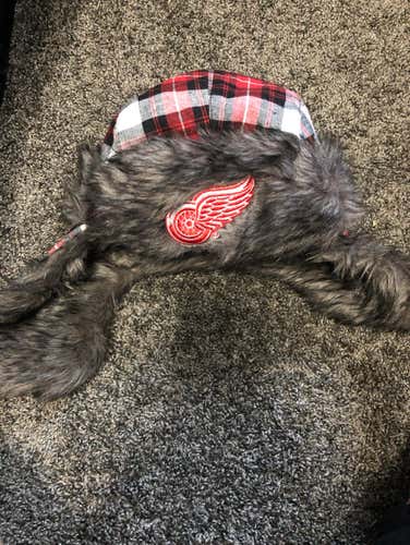 Detroit Red Wings Hat