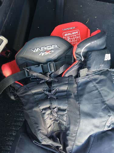 Bauer Vapor APX2 Pants Senior small