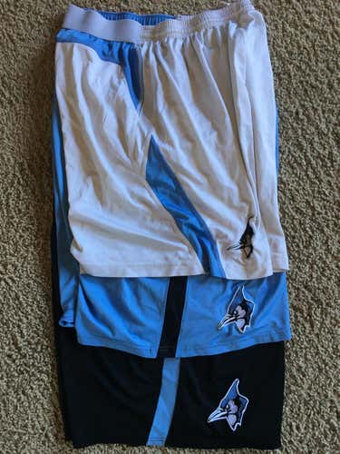 Johns Hopkins game shorts (team issue)