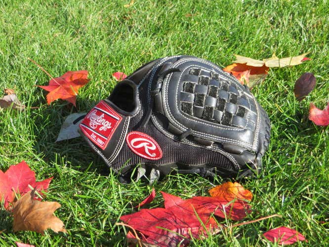 Rawlings Heart of the Hide Glove NO TRADES