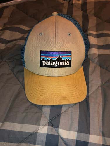 Patagonia Trucker Hat