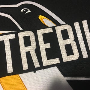 Dan Trebil Pittsburgh Penguins Team Issued Hockey Jersey Nameplate Tag - Ducks Blues