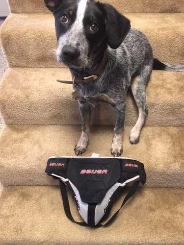 Bauer Senior Goalie Jock