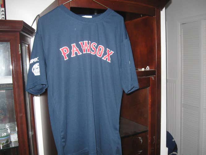 PAW SOX(RED SOX MINOR LEAGUE TEAM JERSEY (XL)
