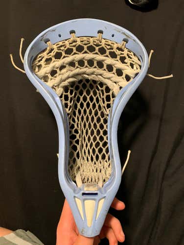 Warrior Cobra Head - OFFERS!