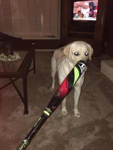 917