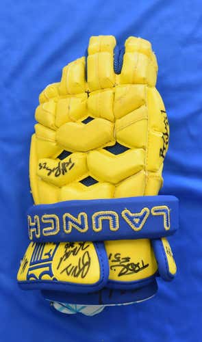 2015 Team-signed Collectible Glove