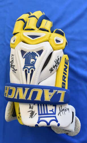 2016 Team-signed Collectible Glove