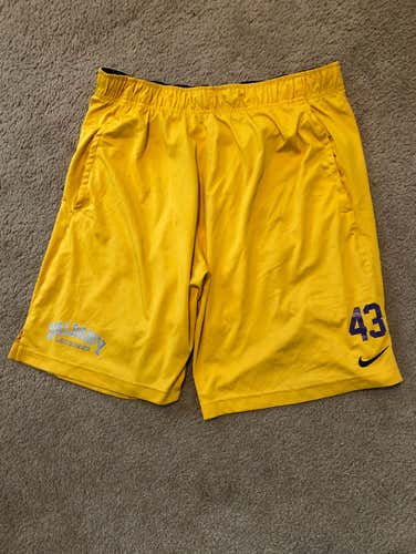 Albany Team Issued Nike Dri-Fit Shorts