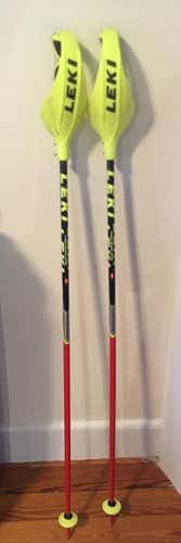 Leki Poles with guards & NEW trigger race straps