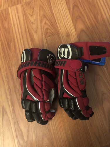 Florida Tech Warrior Evo Gloves