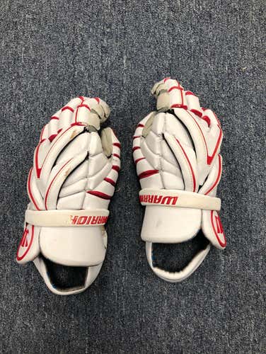 13” Warrior Evo Gloves