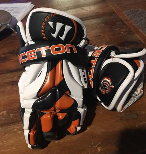 Princeton Goalie Gloves