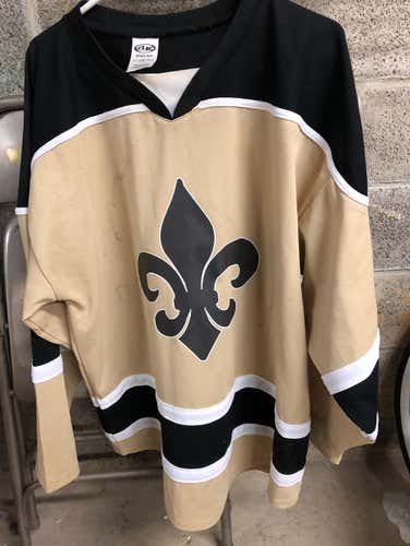 New Orleans Saints Adult Large #14 Jersey