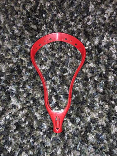 New Warrior Evo