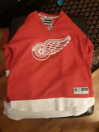 Pavel datsyuk jersey youth L/XL