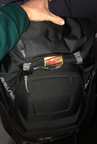 BRAND NEW Rawlings Bat Bag (with Tags)