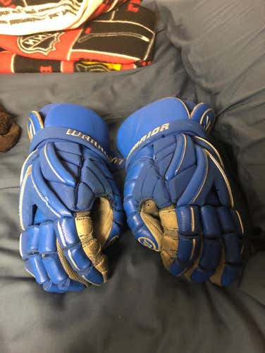 Warrior Evo 13” Gloves