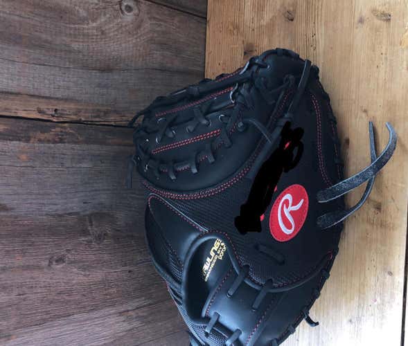 Pro Issue Catchers Mitt Brand New