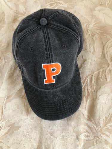 Brand New Princeton Tigers Hat Never Worn