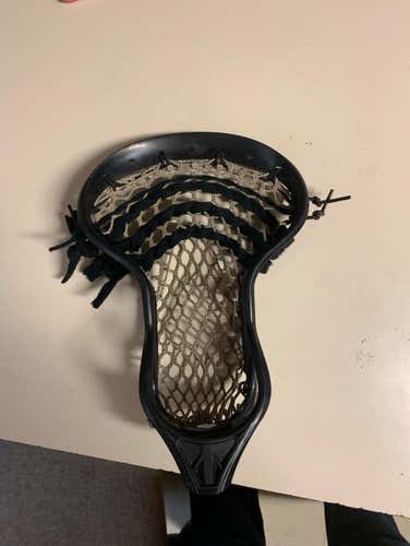 Beast 7 in good shape