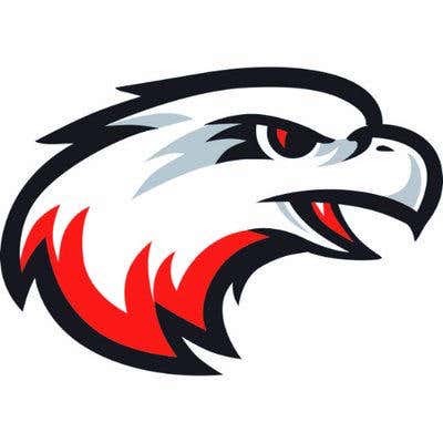 White Hawks Custom Decals