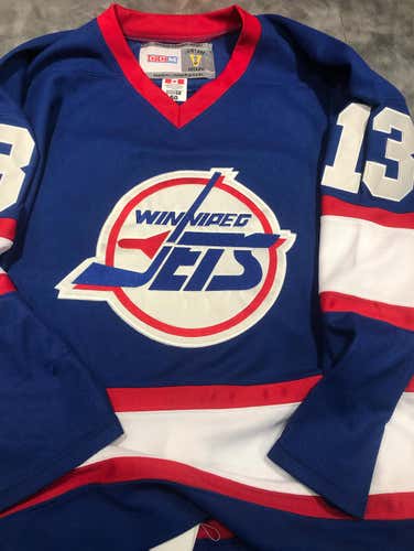 Teemu Selene Winnipeg Jets #14