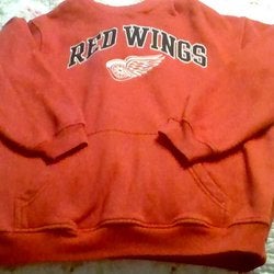 Redwings Hoodie Size Youth Large (14/16)